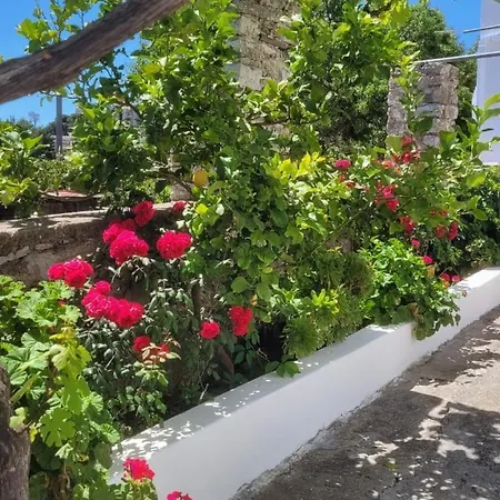 Apartment Kamaraki Grande Aroniadika Kythira Town